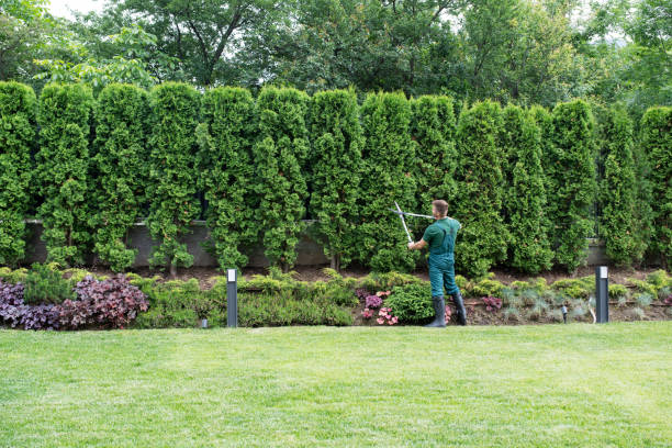 Best Lawn Irrigation Installation and Maintenance  in Grandyle Village, NY